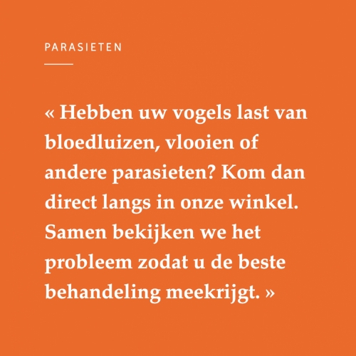 Parasieten